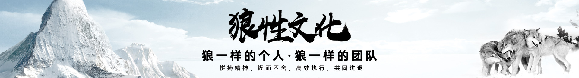 军事拓展培训