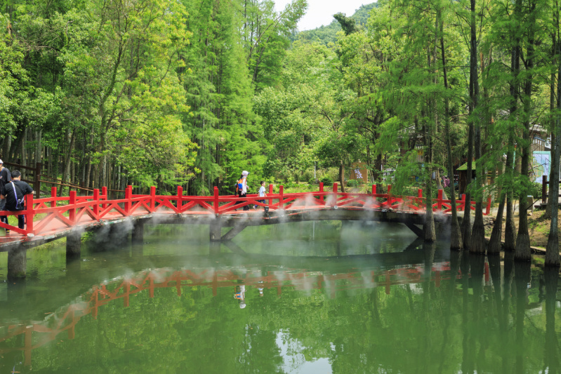 九真山山间步道