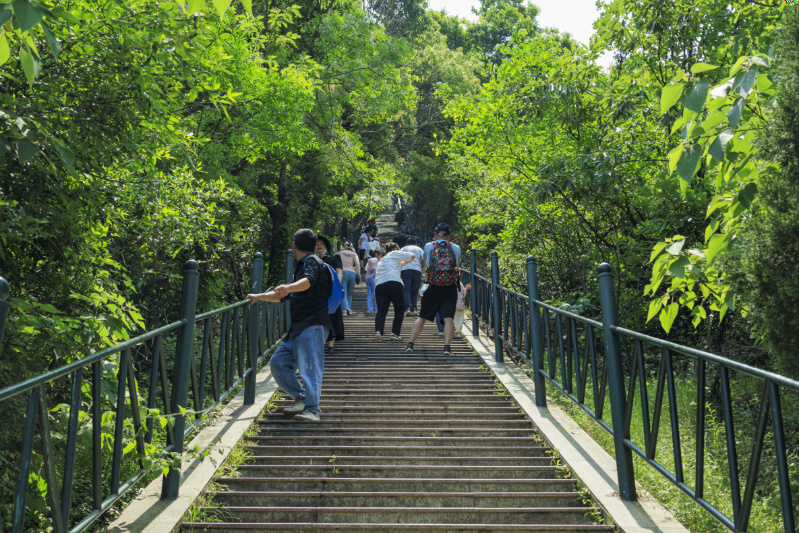 九真山好汉坡