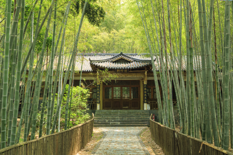 九真山