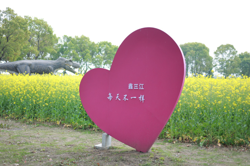 武汉东西湖鑫三江生态园绿化景观 武汉东西湖鑫三江生态园绿化景观