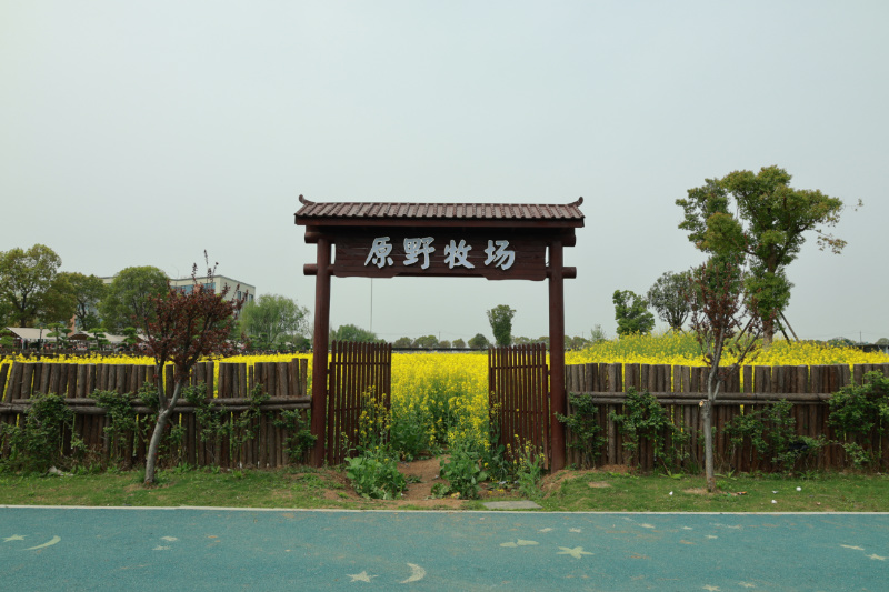 丰富多样的植物品种 丰富多样的植物品种