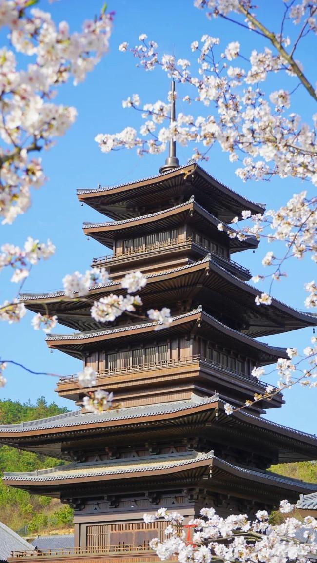 黄梅东山问梅村