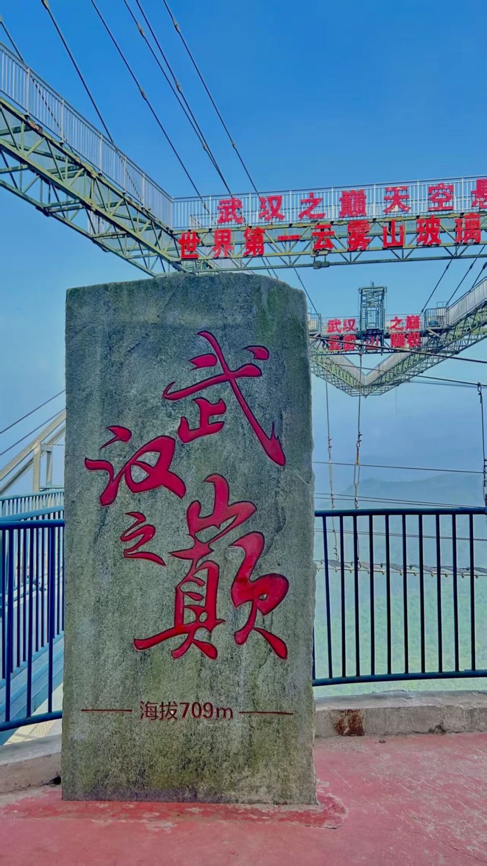 木兰云雾山杜鹃花海