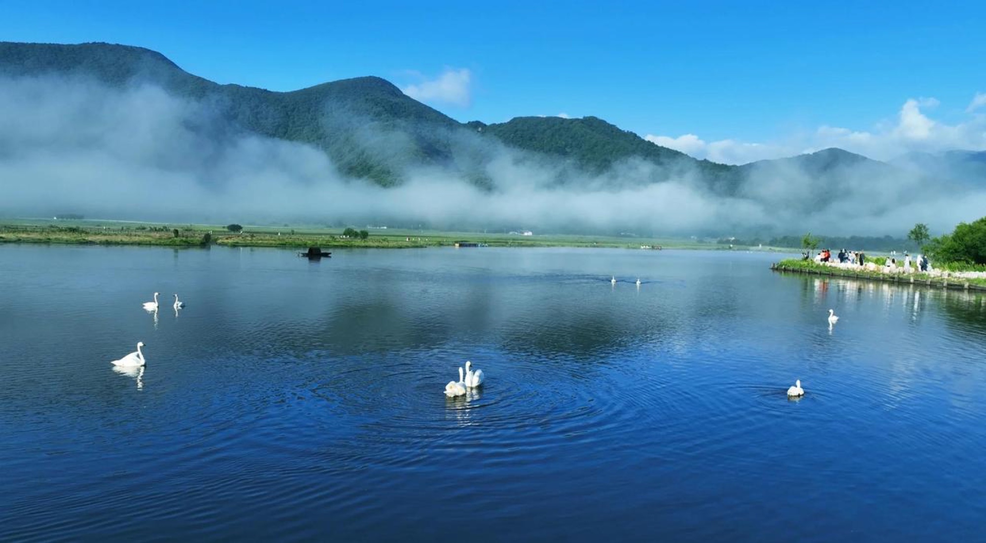 神农架三天团建活动方案｜木鱼镇+神农顶+大九湖行程参考
