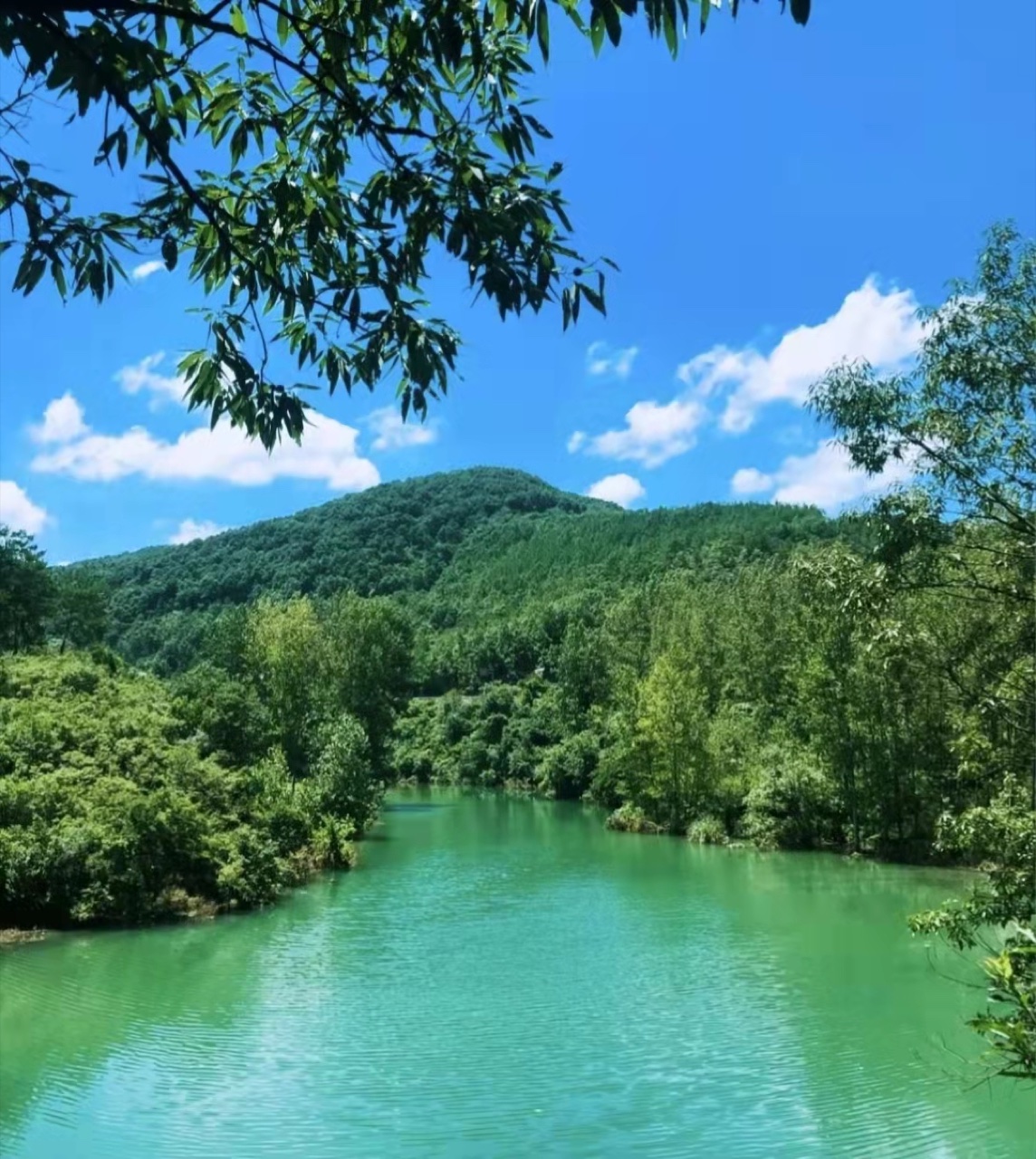 美人瀑从26米直壁山体飞流直下，是美人谷的标志性景观