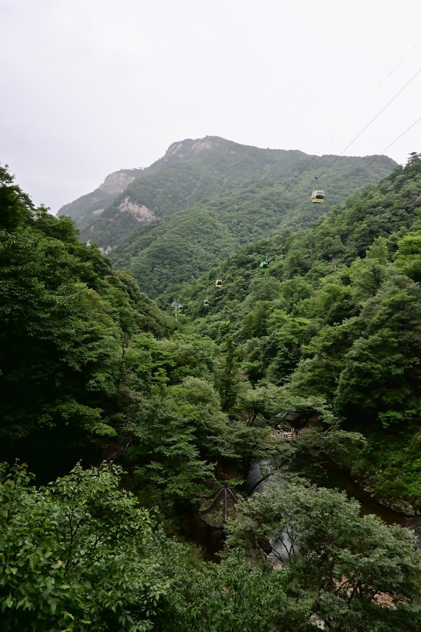 天堂寨松林远山,水墨山色