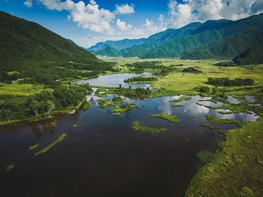 神农架夏天团建体验:26度森林里开晨会是什么感受