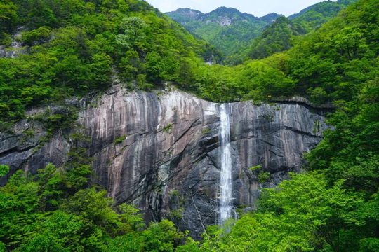 林木与瀑布构成的峡谷近景,为登高之外的景观内容提供参考。