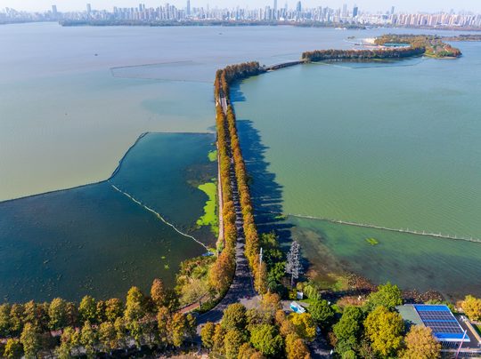 东湖秋季健步走:团队打卡与互动任务怎么排