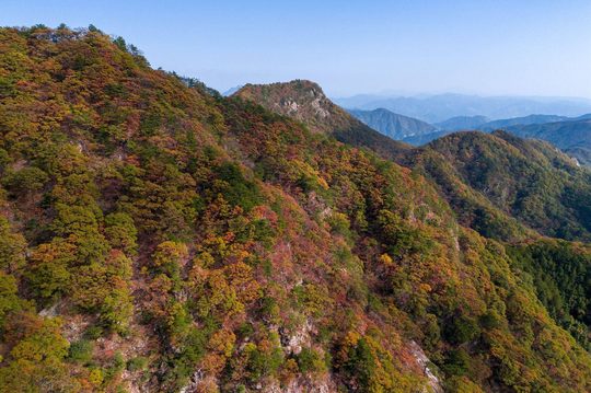 武汉周边秋季爬山团建选哪座山？按车程和强度分