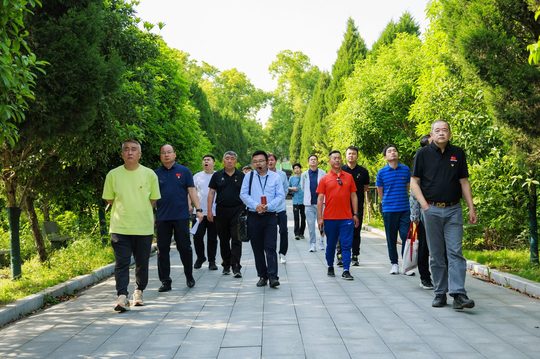 洪湖党建活动·实拍