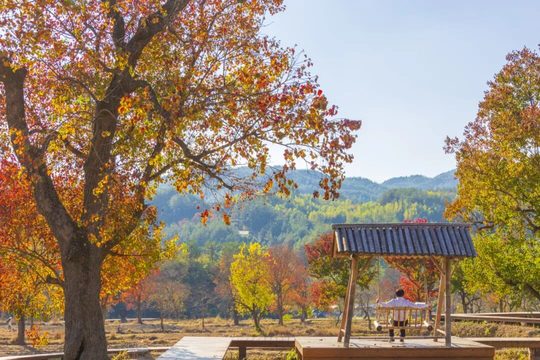 观景与休息位置要提前找好,午餐的座位和开餐时间另行落实。