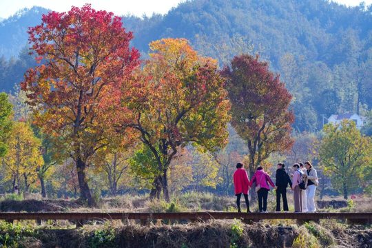 沿已开放的道路看景,拍照时不进入农田或阻断通行。