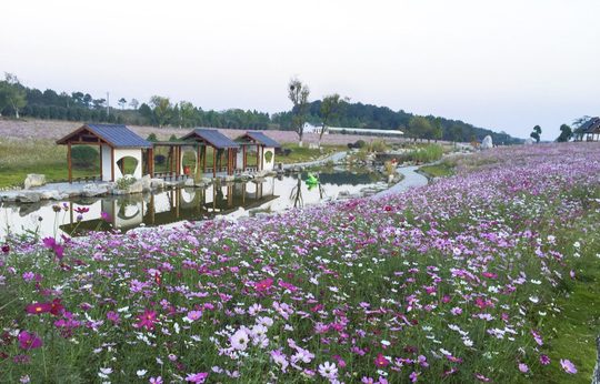 木兰草原历史花景与水边步道。